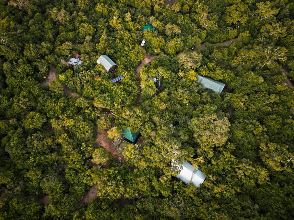 Leopard Reach Yala By Seven Angels Hotel ทิซซามาฮารามา ภายนอก รูปภาพ
