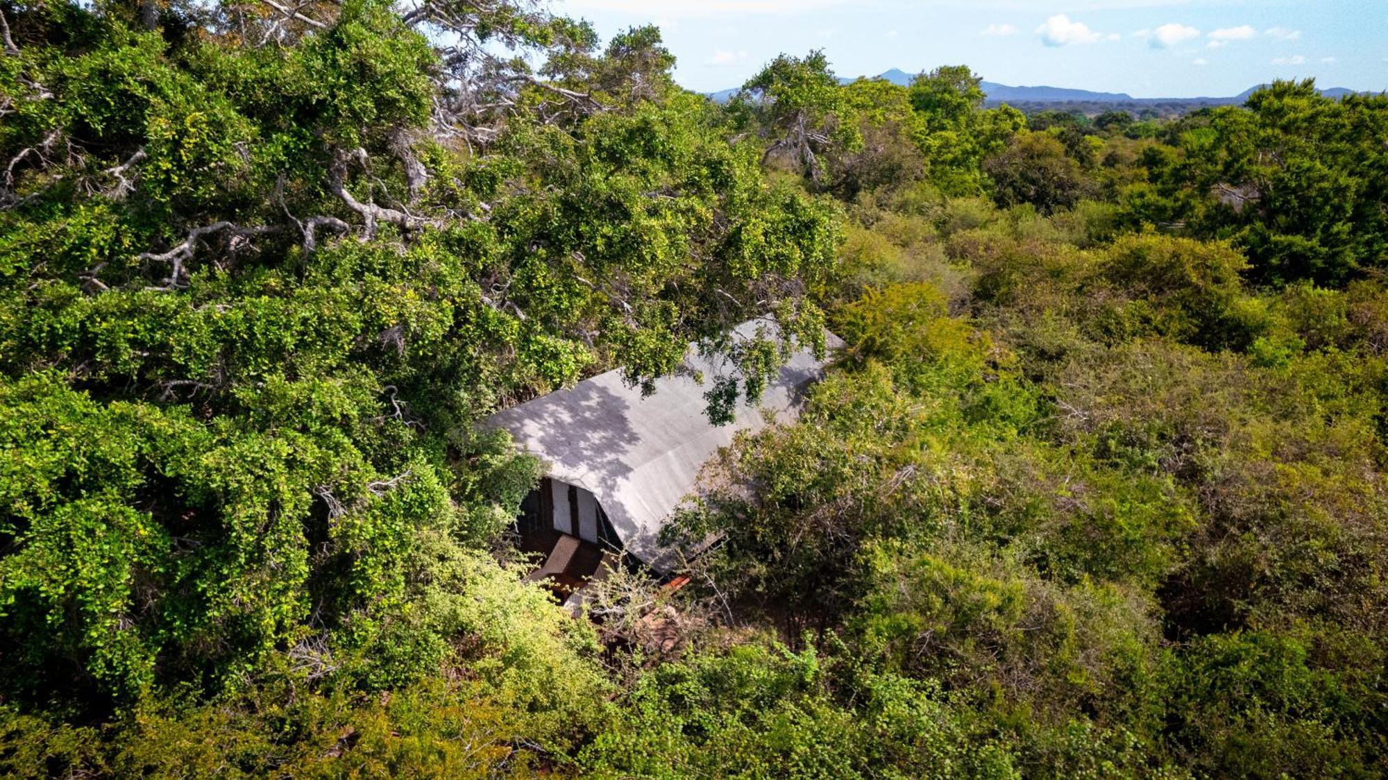 Leopard Reach Yala By Seven Angels Hotel ทิซซามาฮารามา ภายนอก รูปภาพ